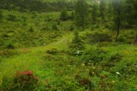 2015-07-03_Sonnjoch (513).JPG